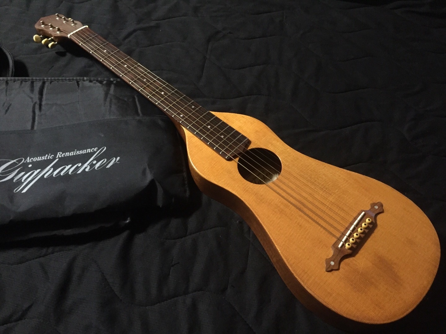 1994 Gigpacker GPF-1 Acoustic Renaissance: Guitars Land Seven