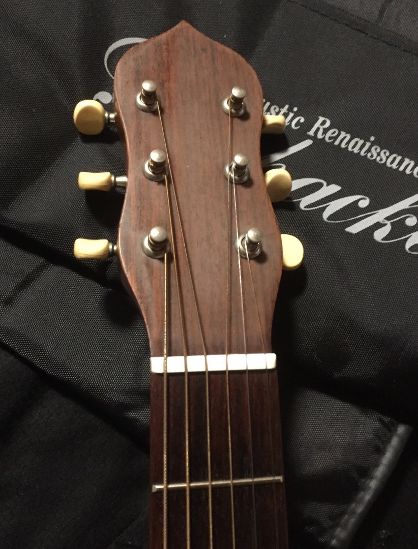 1994 Gigpacker GPF-1 Acoustic Renaissance: Guitars Land Seven