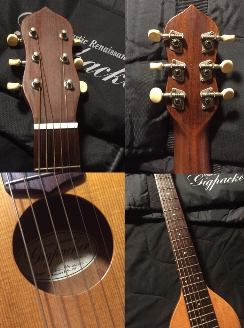 1994 Gigpacker GPF-1 Acoustic Renaissance: Guitars Land Seven