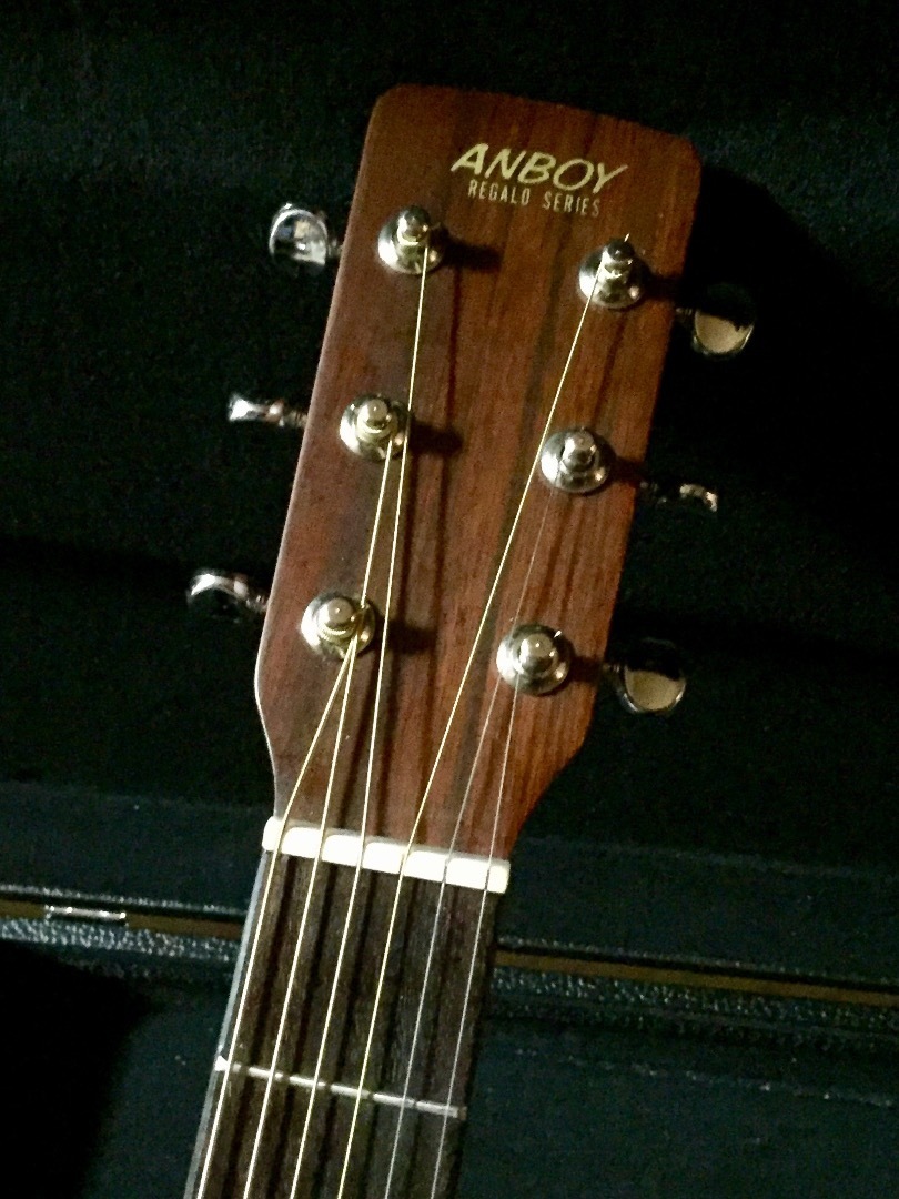 希少】フジゲン ANBOY REGALO SERIES RE-20N - ギター